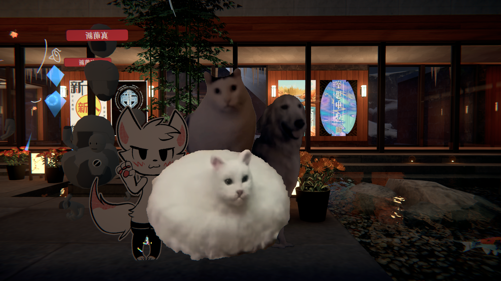 照片11